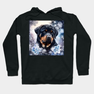 Rottweiler Enjoys Winter Hoodie